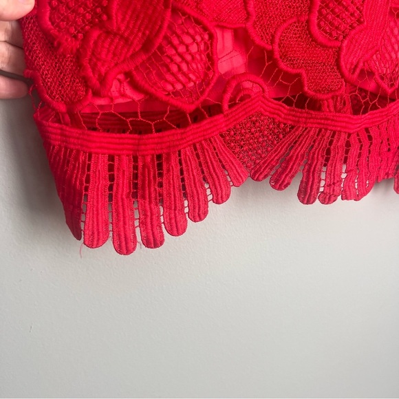 2/25 Lovers + Friends Caspian Floral Red Lace Embroidered Mini Dress - Picture 6 of 7